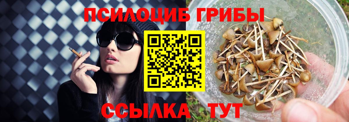 Дзержинск  Псилоцибиновые грибы GOLDEN TEACHER  закладка  Вход с VPN  Псилоцибиновые грибы Psilocybe 
