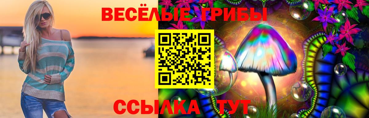 Галлюциногенные грибы GOLDEN TEACHER Дзержинск